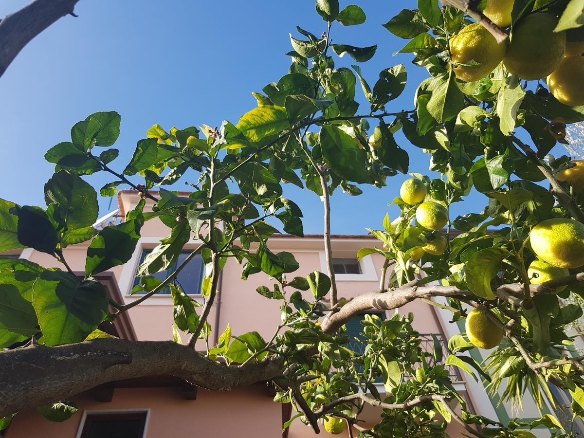 卡梅罗塔的码头 La Casa Di Paolo Casa Di Charme酒店 外观 照片